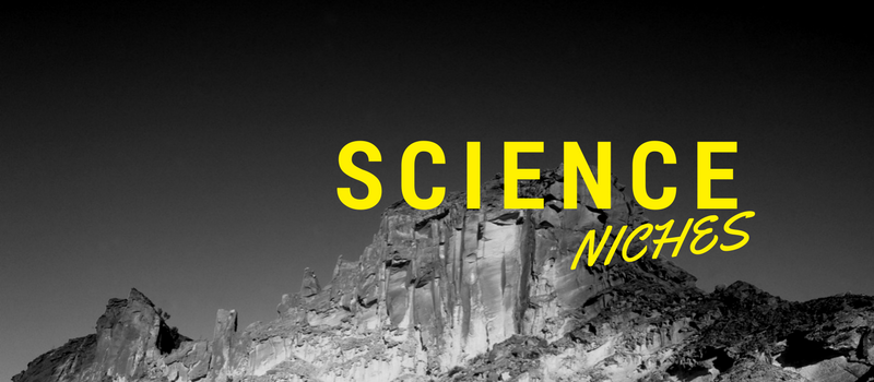 Niche ideas for a blog: science niche